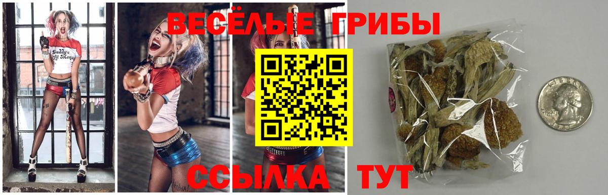 Галлюциногенные грибы Psilocybe  Псилоцибиновые грибы Cubensis  Вход с VPN  где продают   Котельники 